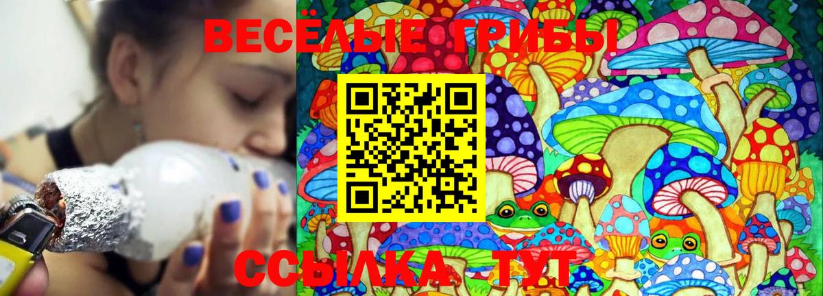 Новый Уренгой  Галлюциногенные грибы MAGIC MUSHROOMS  Вход с VPN 